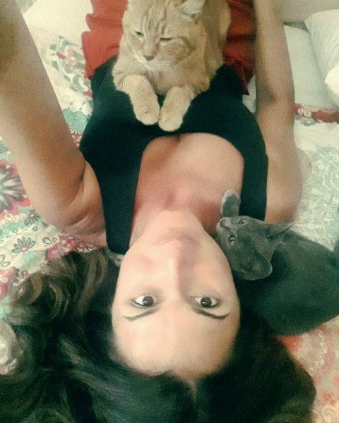 La mia vita. Римские записки, дневник онлайн