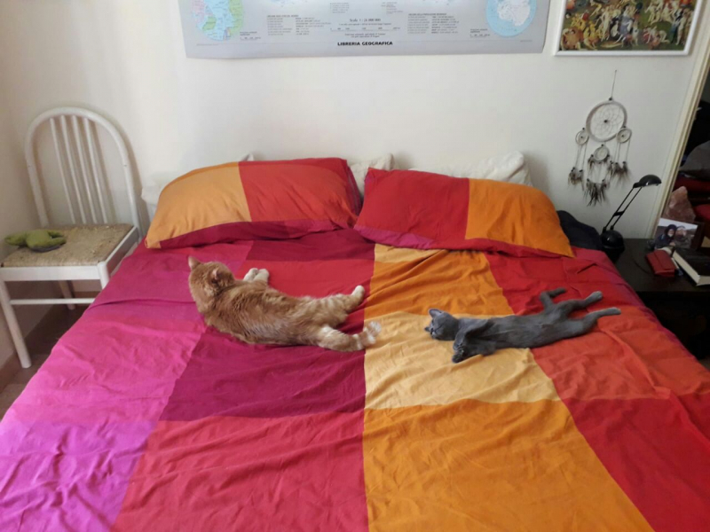 La mia vita. Римские записки, дневник онлайн