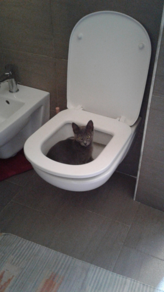 La mia vita. Римские записки, дневник онлайн