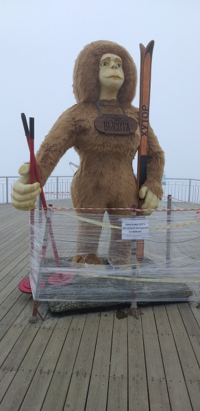 Вспомнить былое и увидеть новое: Большой Сочи – июль – август 2020 года