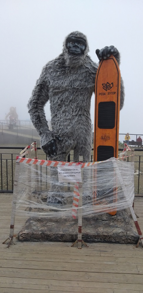 Вспомнить былое и увидеть новое: Большой Сочи – июль – август 2020 года