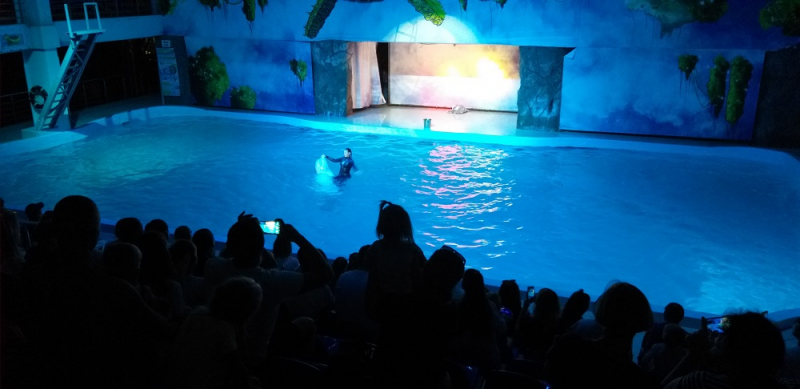 Вспомнить былое и увидеть новое: Большой Сочи – июль – август 2020 года