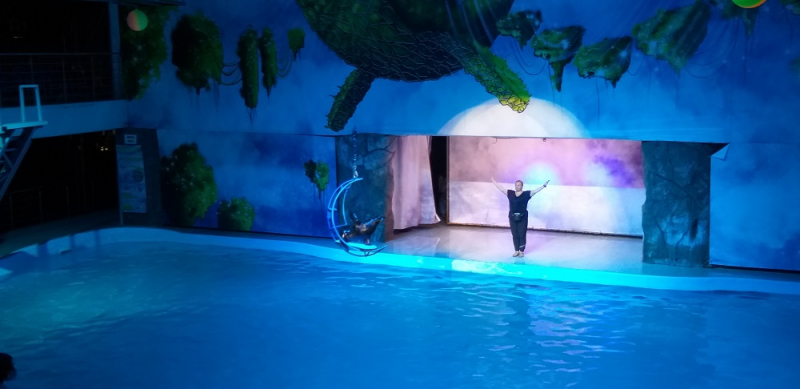 Вспомнить былое и увидеть новое: Большой Сочи – июль – август 2020 года