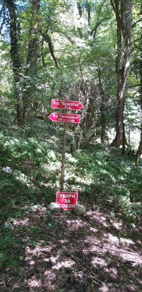 Вспомнить былое и увидеть новое: Большой Сочи – июль – август 2020 года