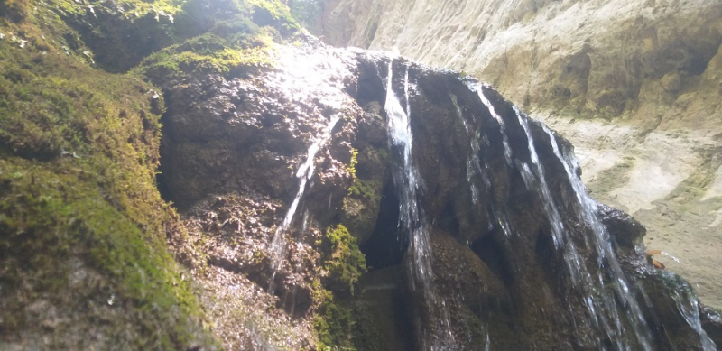 Вспомнить былое и увидеть новое: Большой Сочи – июль – август 2020 года