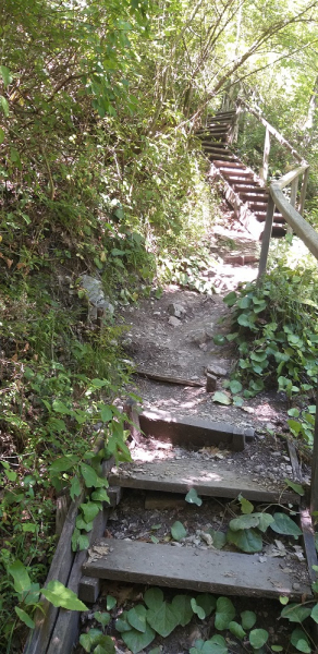 Вспомнить былое и увидеть новое: Большой Сочи – июль – август 2020 года