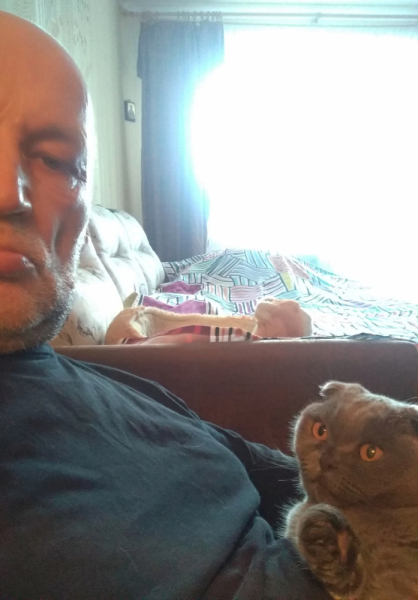 Кошки в нашей жизни. Кошки и все, что с ними связано.