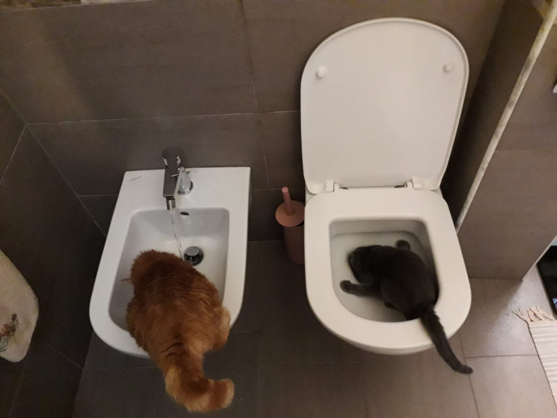 La mia vita. Римские записки, дневник онлайн