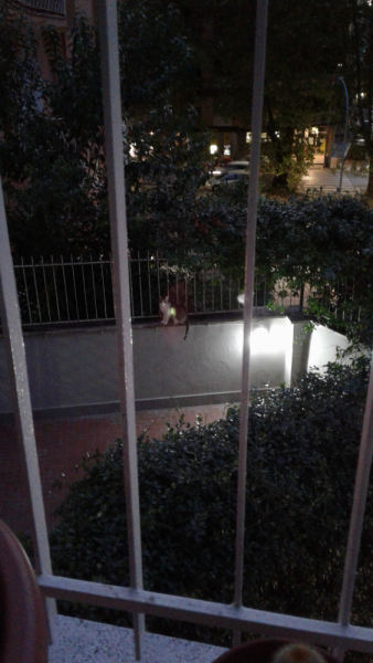 La mia vita. Римские записки, дневник онлайн