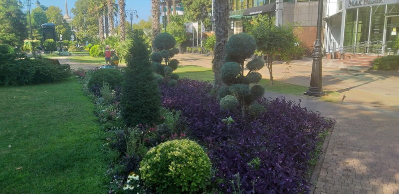 Вспомнить былое и увидеть новое: Большой Сочи – июль – август 2020 года