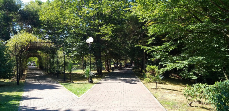 Вспомнить былое и увидеть новое: Большой Сочи – июль – август 2020 года