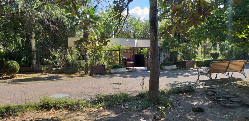 Вспомнить былое и увидеть новое: Большой Сочи – июль – август 2020 года