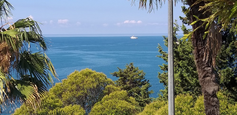 Вспомнить былое и увидеть новое: Большой Сочи – июль – август 2020 года