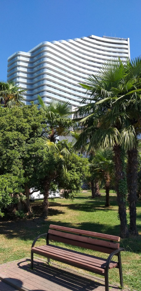 Вспомнить былое и увидеть новое: Большой Сочи – июль – август 2020 года