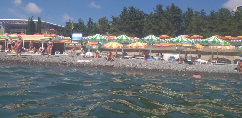 Вспомнить былое и увидеть новое: Большой Сочи – июль – август 2020 года