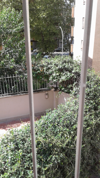 La mia vita. Римские записки, дневник онлайн