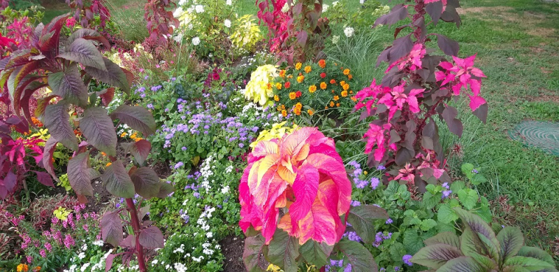 Вспомнить былое и увидеть новое: Большой Сочи – июль – август 2020 года