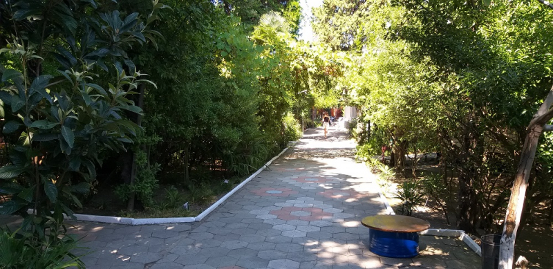 Вспомнить былое и увидеть новое: Большой Сочи – июль – август 2020 года