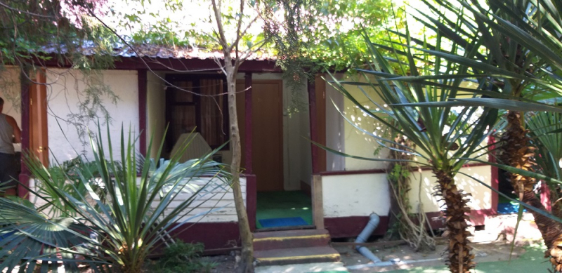 Вспомнить былое и увидеть новое: Большой Сочи – июль – август 2020 года