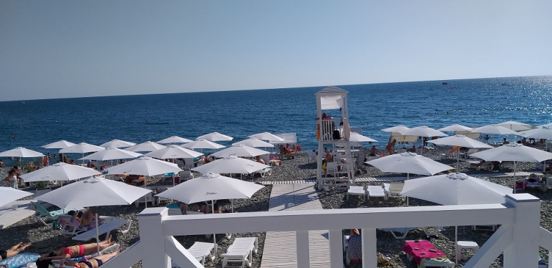 Вспомнить былое и увидеть новое: Большой Сочи – июль – август 2020 года