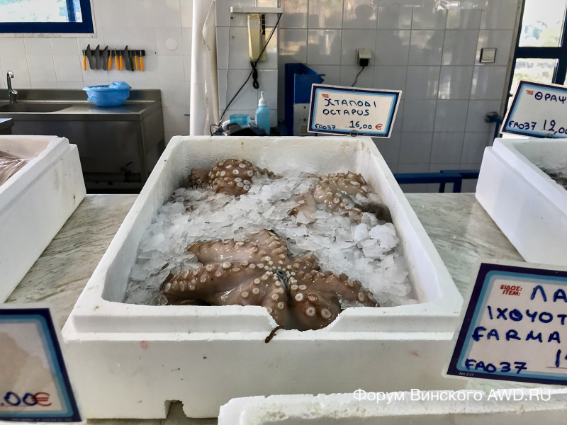 Рыбный рынок в Порто Куфо