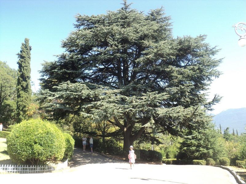 Крымский отдых август 2020 (Евпатория+Судак)