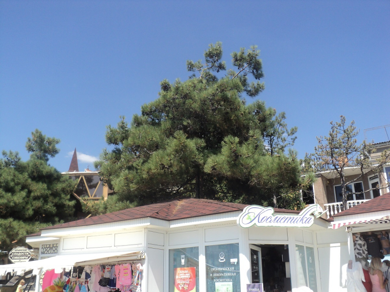 Крымский отдых август 2020 (Евпатория+Судак)