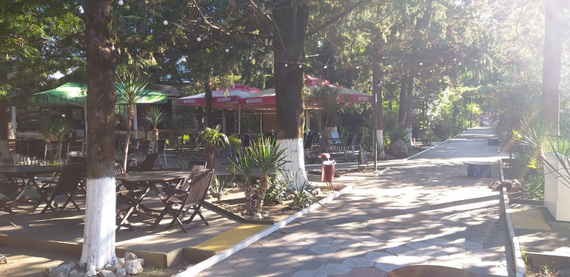 Вспомнить былое и увидеть новое: Большой Сочи – июль – август 2020 года