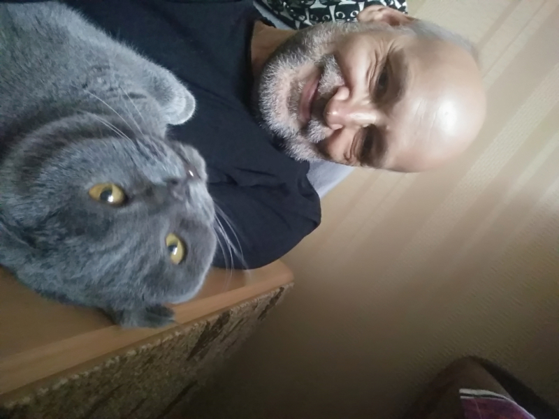 Кошки в нашей жизни. Кошки и все, что с ними связано.