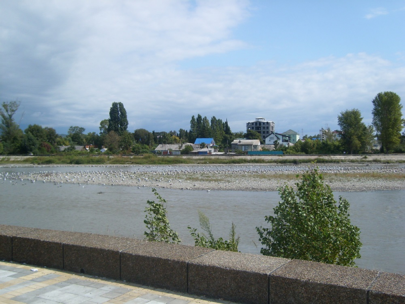 Вспомнить былое и увидеть новое: Большой Сочи – июль – август 2020 года