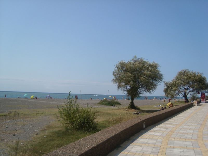 Вспомнить былое и увидеть новое: Большой Сочи – июль – август 2020 года