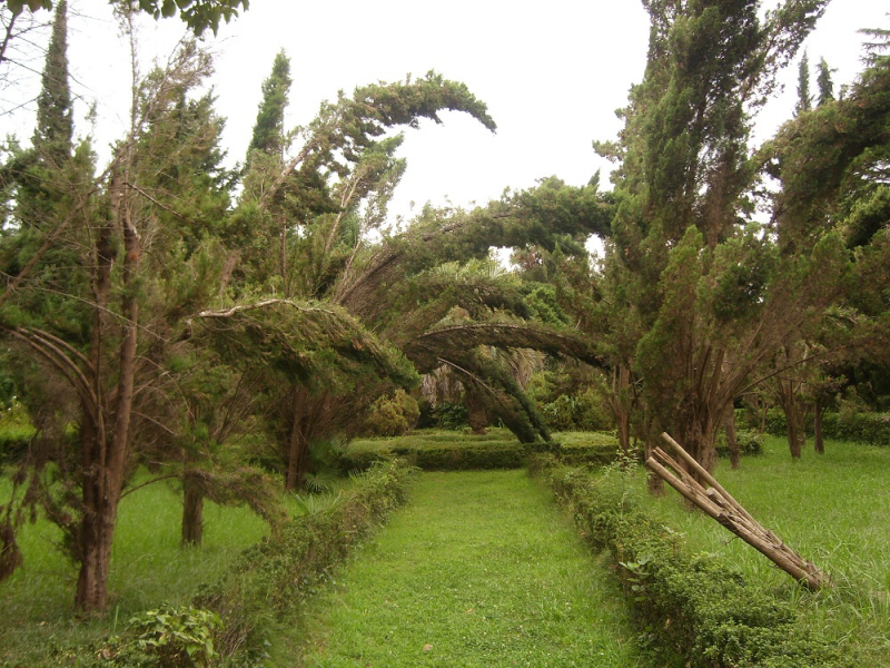 Вспомнить былое и увидеть новое: Большой Сочи – июль – август 2020 года