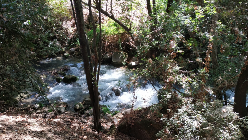 28.08.2020.Река Хермон (она же - Нахаль Баниас). "Не водопадом единым".