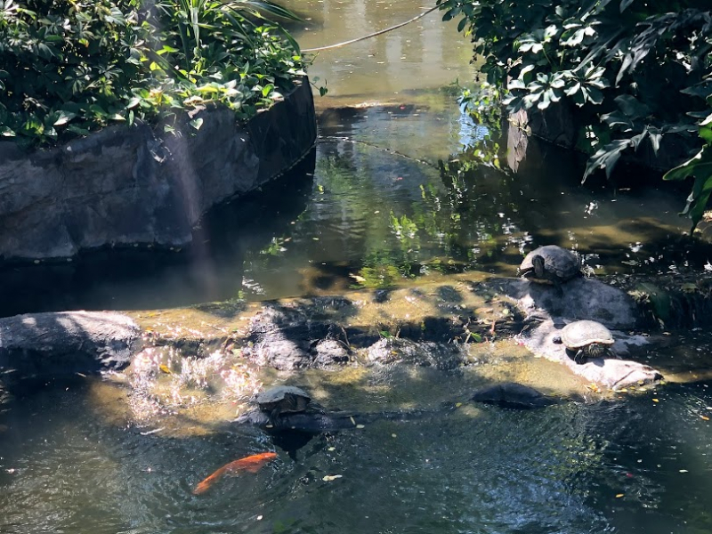 Ветер перемен или Манила заманила.