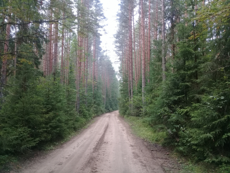 Познавательно-ненапряжный Русский Север без крайних заполярных точек