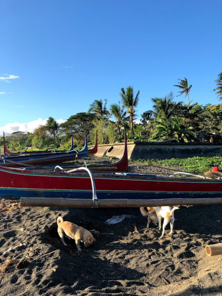 Ветер перемен или Манила заманила.