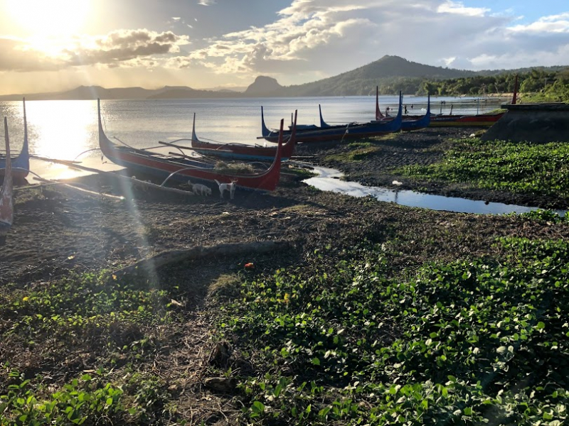 Ветер перемен или Манила заманила.