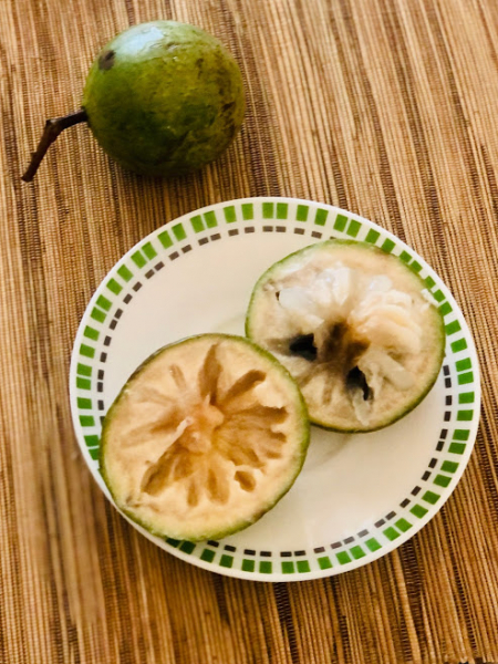 Ветер перемен или Манила заманила.