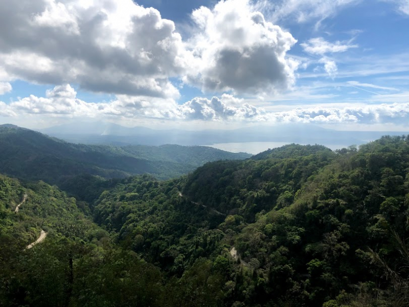 Ветер перемен или Манила заманила.