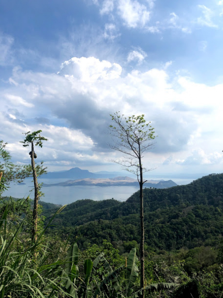 Ветер перемен или Манила заманила.