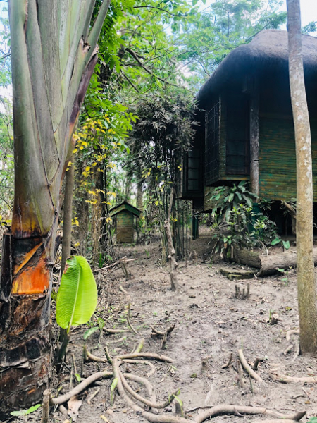 Ветер перемен или Манила заманила.