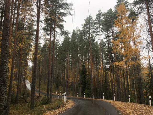 Отдых в Карелии