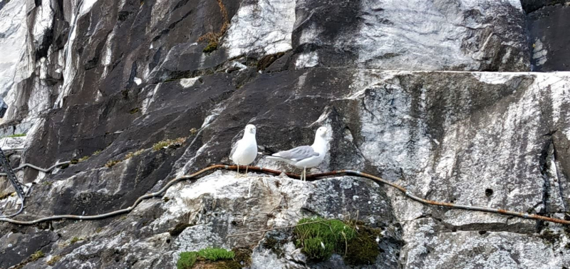 «Долго будет Карелия сниться». Июль 2020.