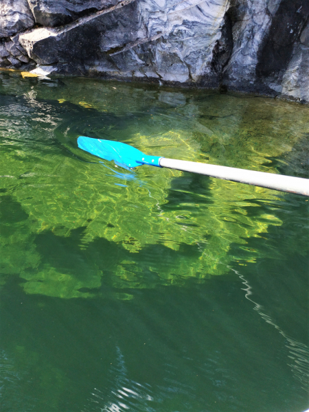 «Долго будет Карелия сниться». Июль 2020.