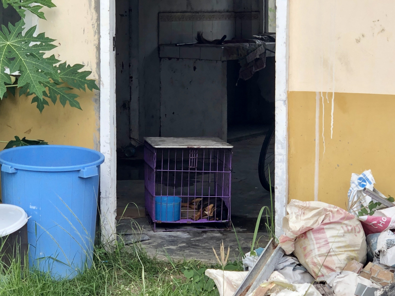 Ветер перемен или Манила заманила. Ветер перемен или Манила заманила.