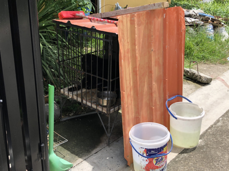 Ветер перемен или Манила заманила. Ветер перемен или Манила заманила.