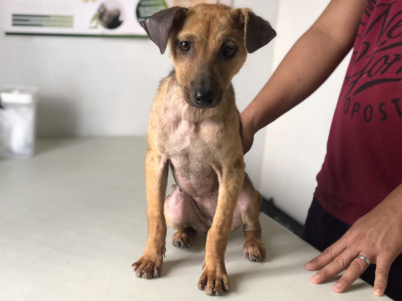 Ветер перемен или Манила заманила.