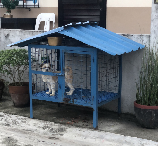 Ветер перемен или Манила заманила.