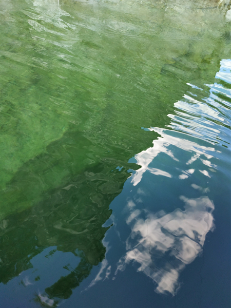 «Долго будет Карелия сниться». Июль 2020.