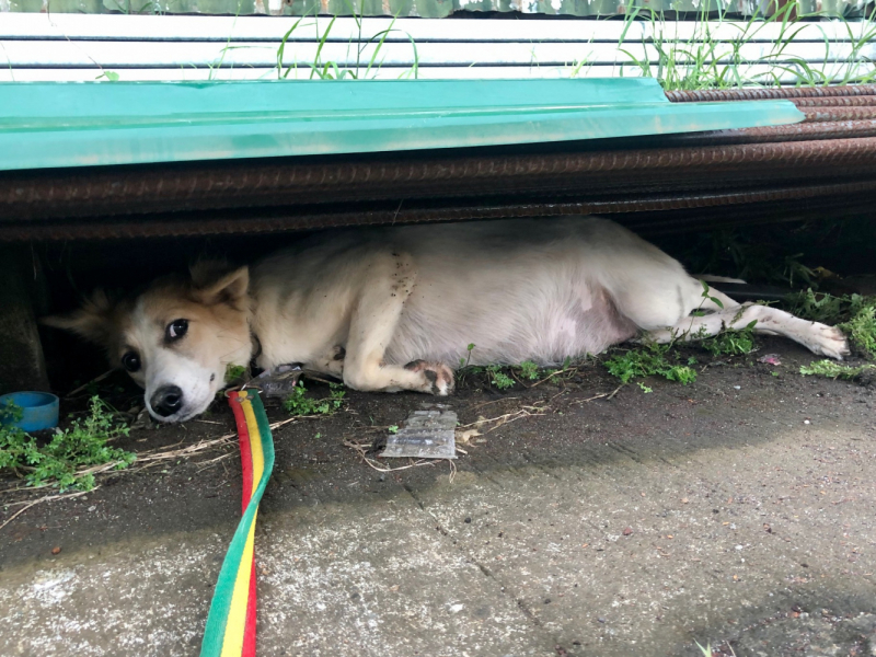 Ветер перемен или Манила заманила.